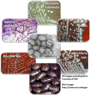 Bioterrorism Agents of Concern