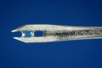 Biofurcated Needle