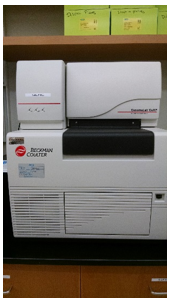 Norovirus Real-time RT-PCR, Conventional PCR, and Sequencing