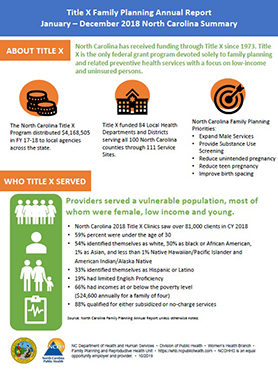 Perinatal Health Strategic Plan
