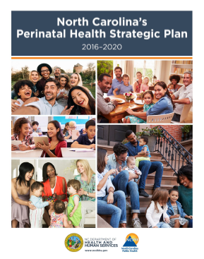 Perinatal Health Strategic Plan